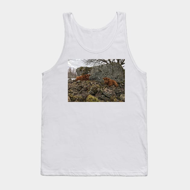 Scottish Highland Cattle Calves 1743 Tank Top by SaarelaHighland